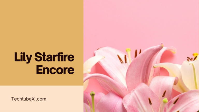 Lily Starfire Encore Tapestry