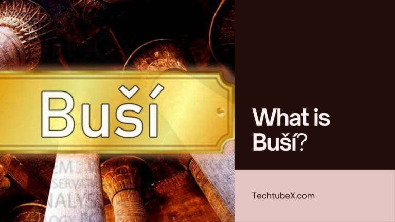Buší: An Exploration into an Ancient Tradition