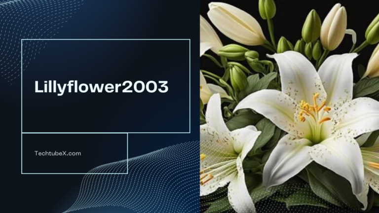 Lillyflower2003: A Digital Luminary Shaping Creativity and Community Engagement